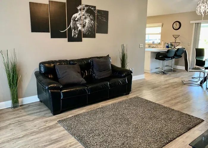 Cozy 3 Bedroom Home Close To Everything In Tampa!